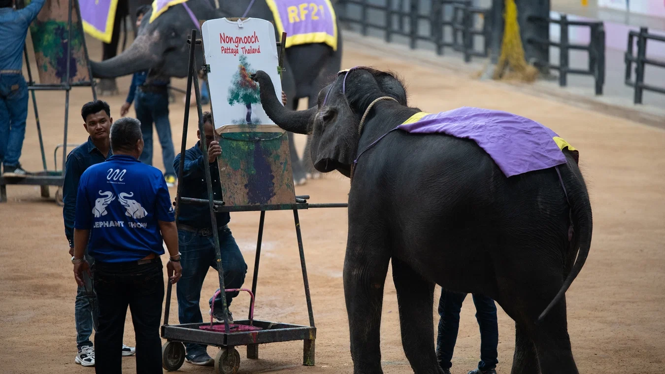 Nong Nooch y show de serpientes