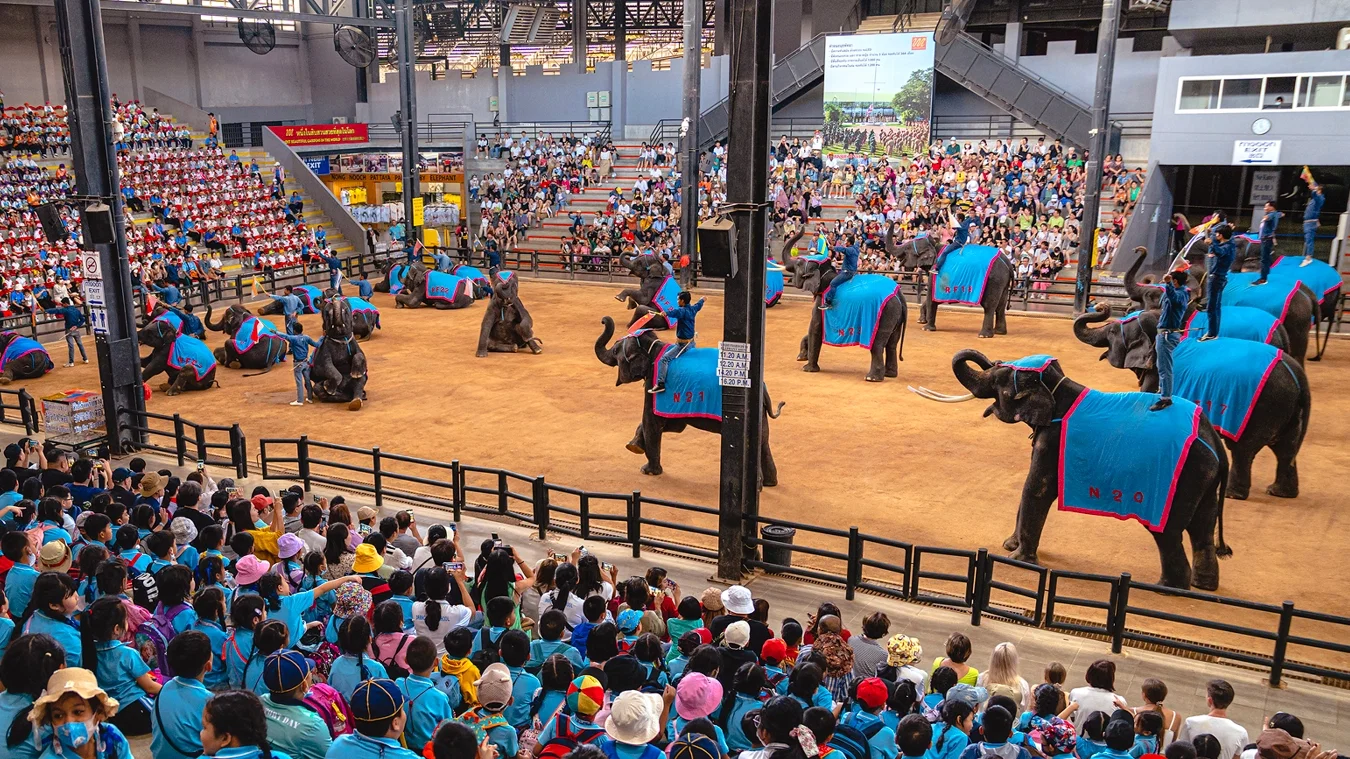 Nong Nooch y show de serpientes