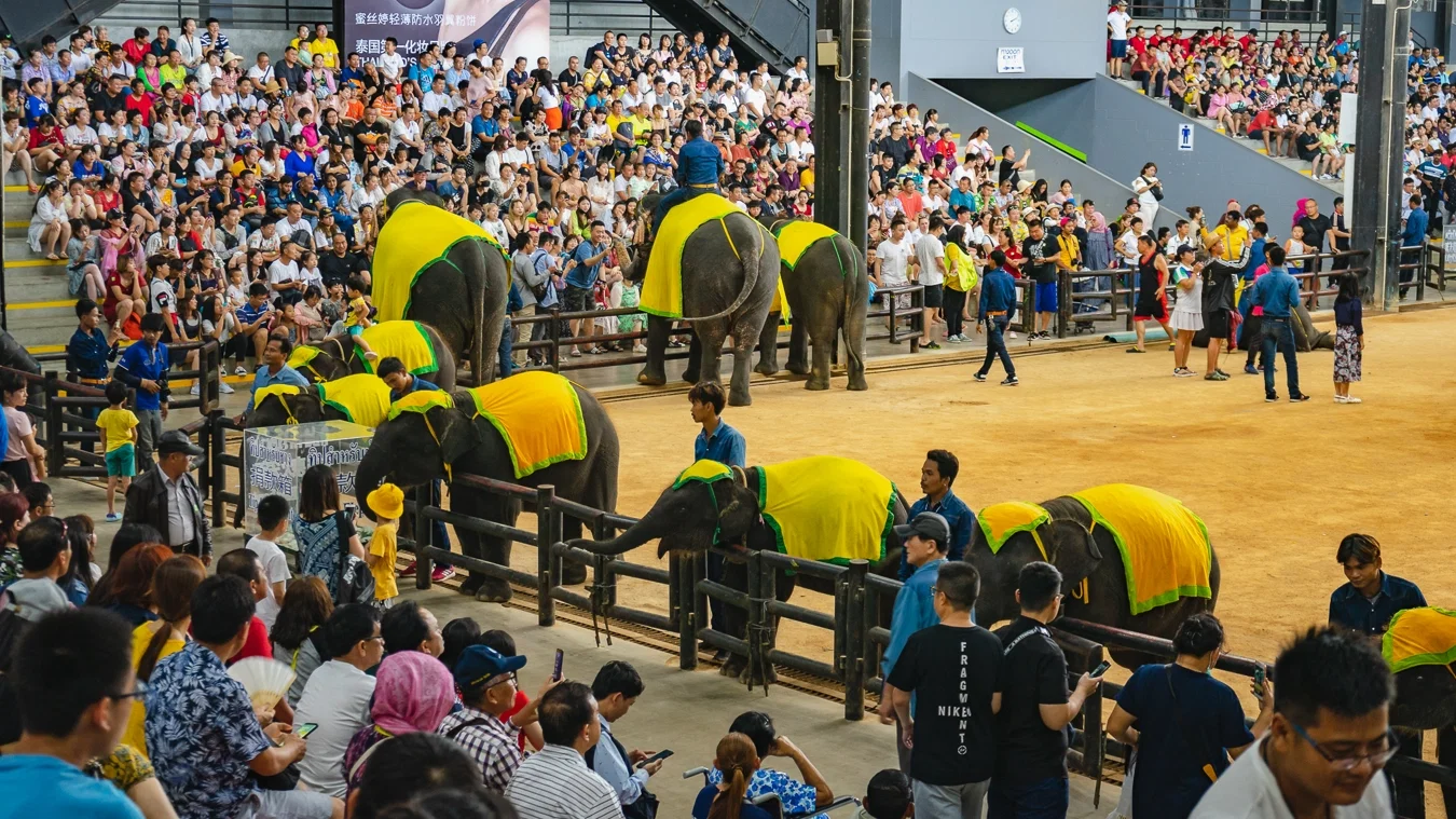 Nong Nooch y show de serpientes