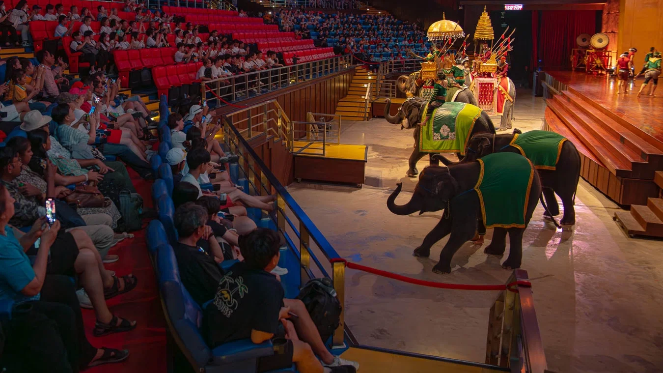 Nong Nooch y show de serpientes