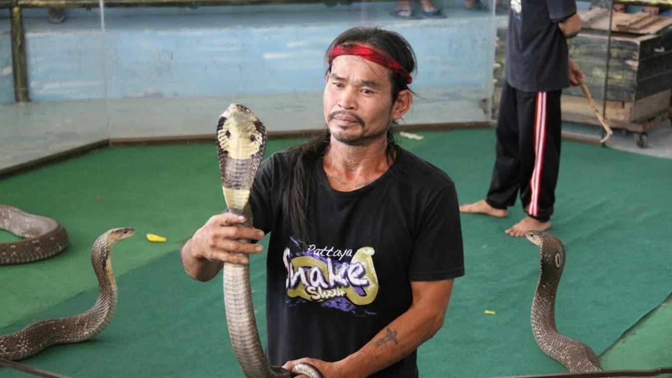 Nong Nooch y show de serpientes