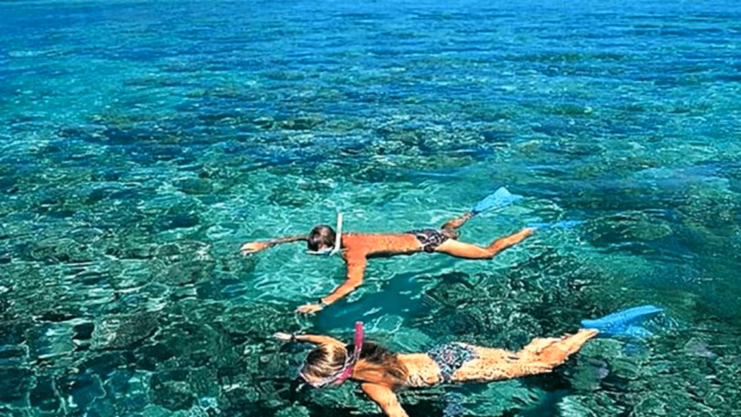 Cham Islands 1-Day Tour from Da Nang / Hoi An - Complete Snorkeling Package